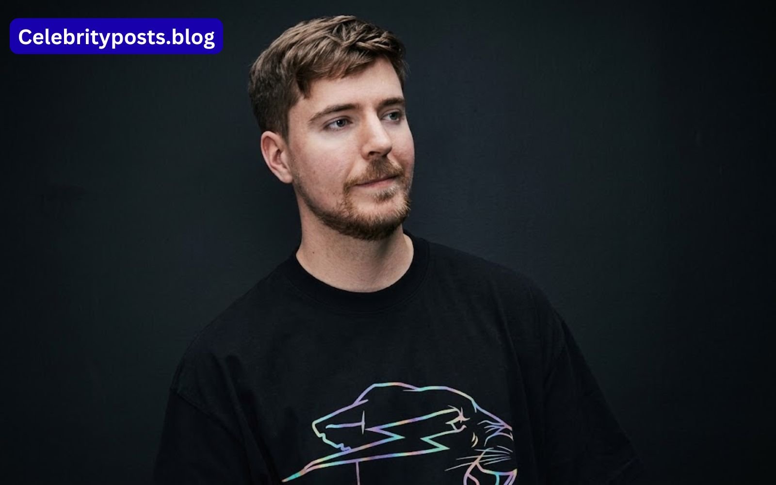 Mr Beast Net Worth